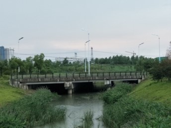 明珠大道道排及桥梁工程，，，，，1925m。。